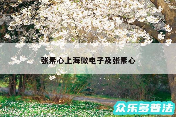 张素心上海微电子及张素心