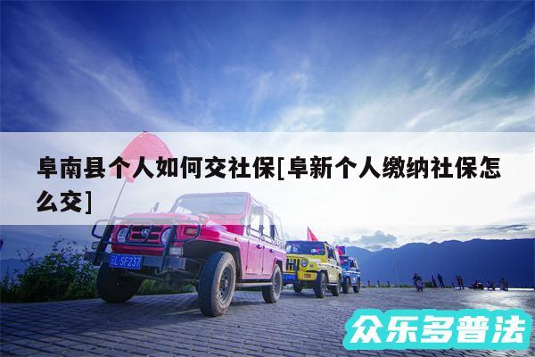 阜南县个人如何交社保及阜新个人缴纳社保怎么交