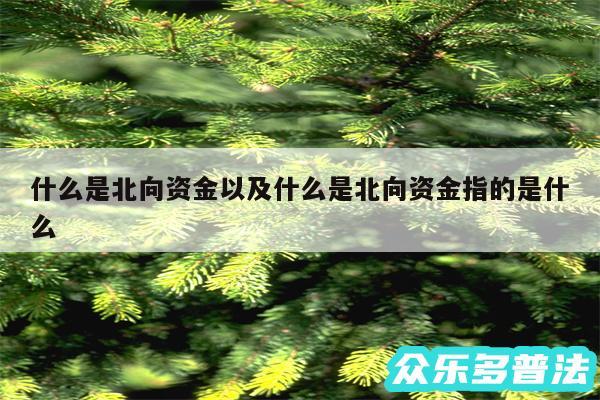 什么是北向资金以及什么是北向资金指的是什么