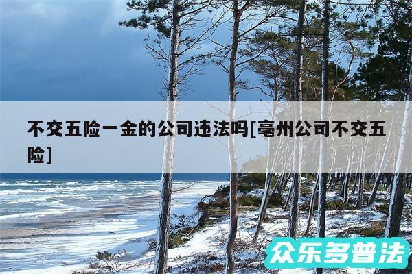 不交五险一金的公司违法吗及亳州公司不交五险