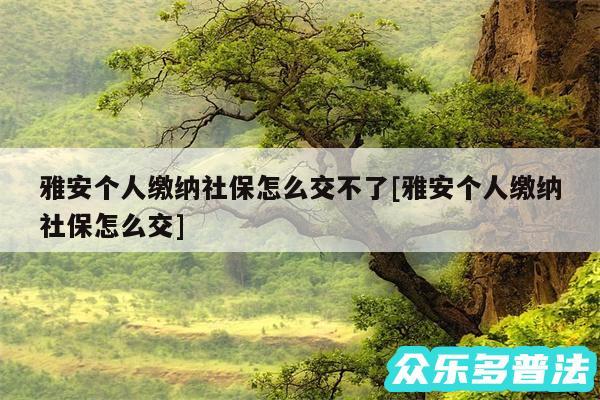 雅安个人缴纳社保怎么交不了及雅安个人缴纳社保怎么交