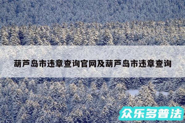 葫芦岛市违章查询官网及葫芦岛市违章查询