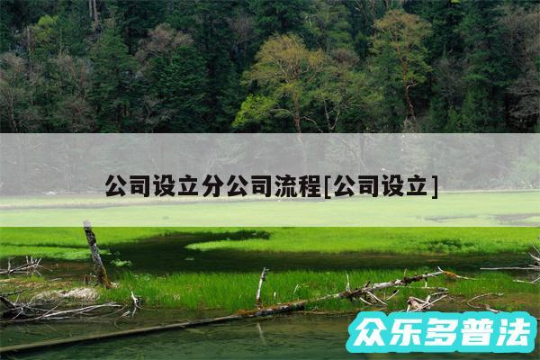 公司设立分公司流程及公司设立