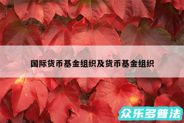 国际货币基金组织及货币基金组织
