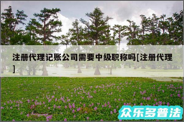 注册代理记账公司需要中级职称吗及注册代理