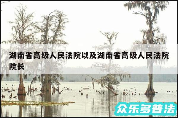 湖南省高级人民法院以及湖南省高级人民法院院长