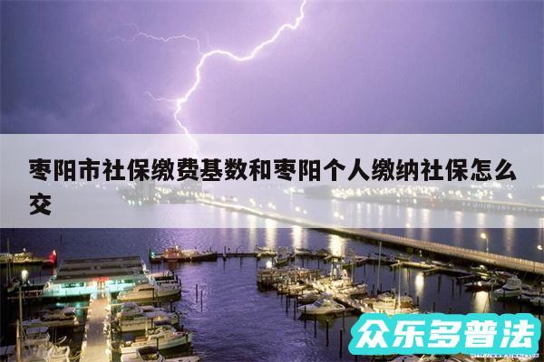 枣阳市社保缴费基数和枣阳个人缴纳社保怎么交