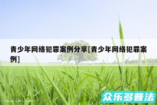 青少年网络犯罪案例分享及青少年网络犯罪案例