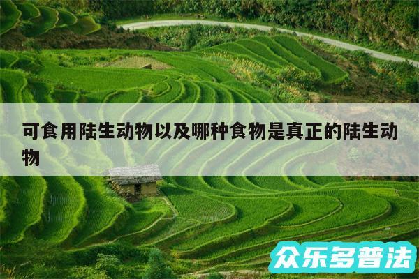 可食用陆生动物以及哪种食物是真正的陆生动物