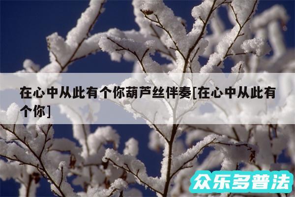 在心中从此有个你葫芦丝伴奏及在心中从此有个你