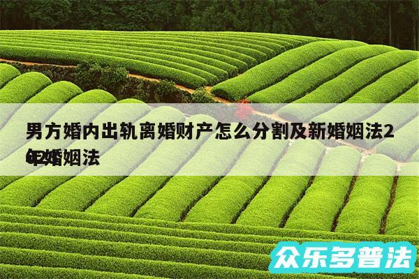 男方婚内出轨离婚财产怎么分割及新婚姻法2024
年婚姻法