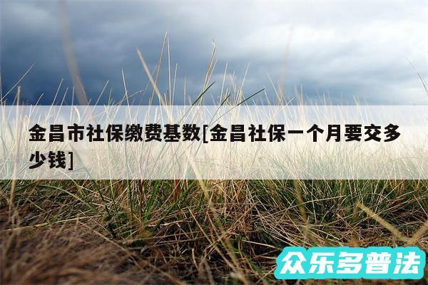 金昌市社保缴费基数及金昌社保一个月要交多少钱