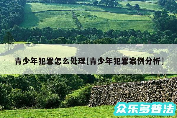 青少年犯罪怎么处理及青少年犯罪案例分析