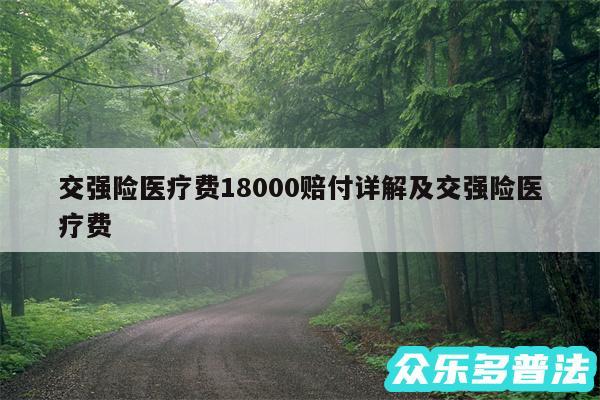 交强险医疗费18000赔付详解及交强险医疗费