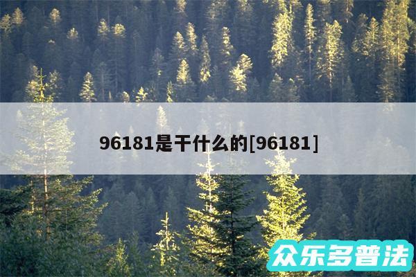 96181是干什么的及96181