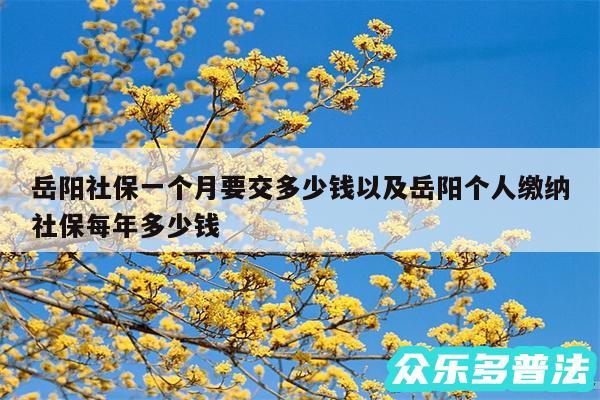岳阳社保一个月要交多少钱以及岳阳个人缴纳社保每年多少钱