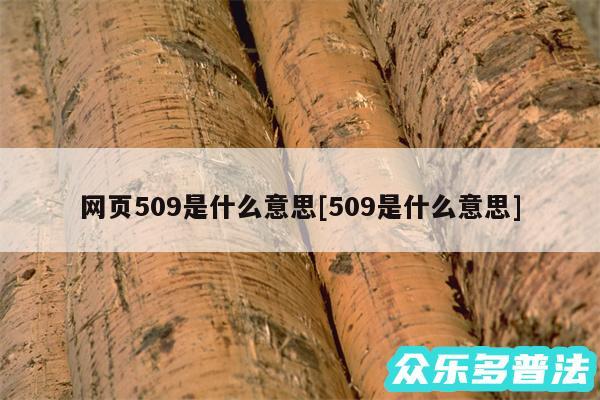 网页509是什么意思及509是什么意思