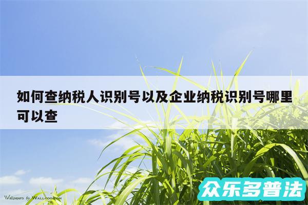 如何查纳税人识别号以及企业纳税识别号哪里可以查