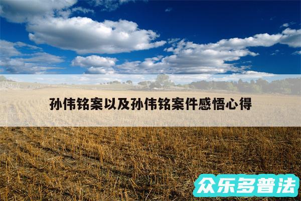 孙伟铭案以及孙伟铭案件感悟心得