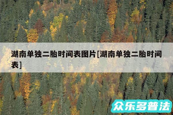 湖南单独二胎时间表图片及湖南单独二胎时间表