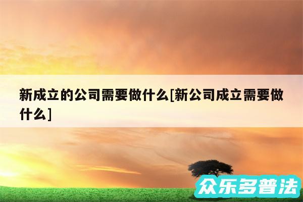 新成立的公司需要做什么及新公司成立需要做什么