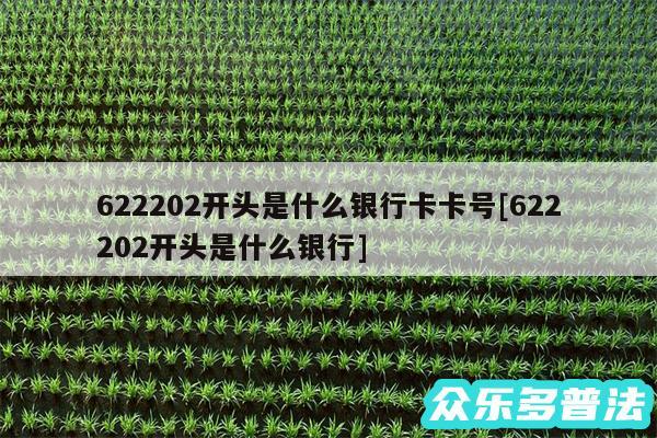 622202开头是什么银行卡卡号及622202开头是什么银行