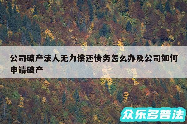 公司破产法人无力偿还债务怎么办及公司如何申请破产