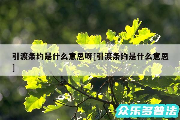 引渡条约是什么意思呀及引渡条约是什么意思