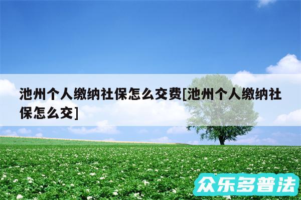 池州个人缴纳社保怎么交费及池州个人缴纳社保怎么交