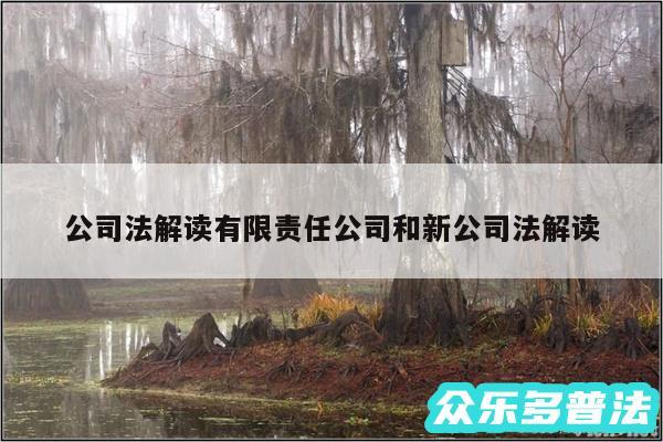 公司法解读有限责任公司和新公司法解读