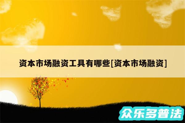 资本市场融资工具有哪些及资本市场融资