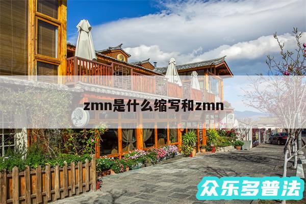 zmn是什么缩写和zmn