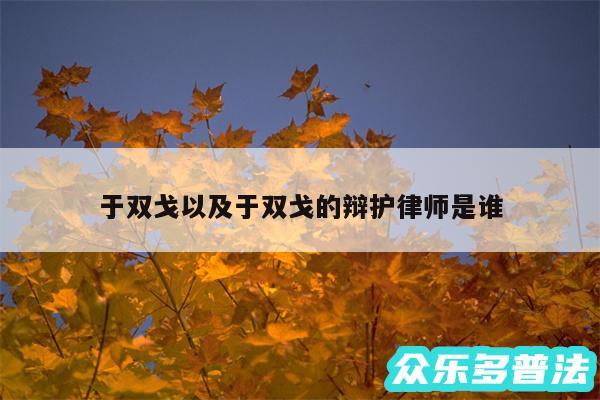 于双戈以及于双戈的辩护律师是谁