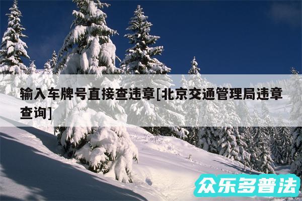 输入车牌号直接查违章及北京交通管理局违章查询
