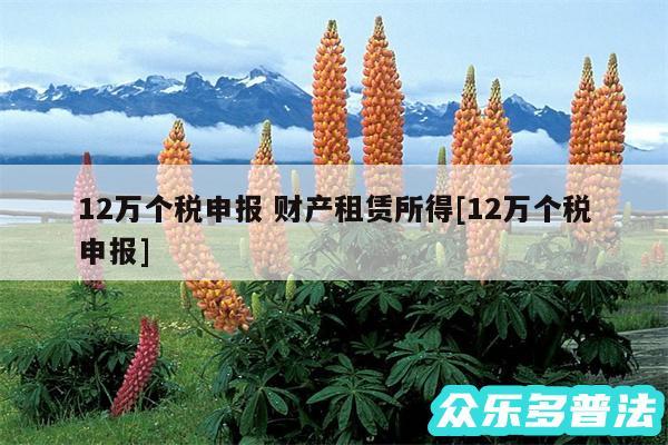 12万个税申报 财产租赁所得及12万个税申报