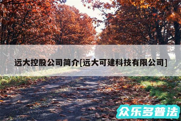 远大控股公司简介及远大可建科技有限公司