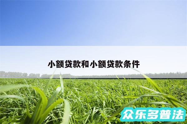 小额贷款和小额贷款条件