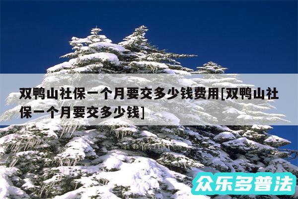 双鸭山社保一个月要交多少钱费用及双鸭山社保一个月要交多少钱