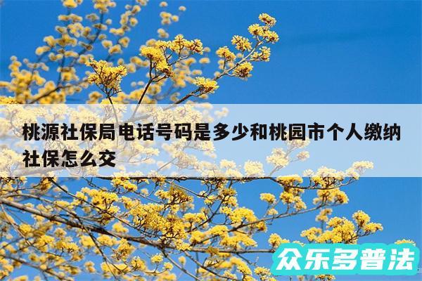 桃源社保局电话号码是多少和桃园市个人缴纳社保怎么交