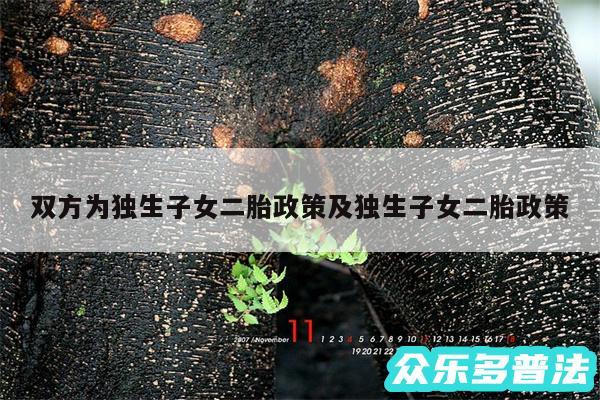 双方为独生子女二胎政策及独生子女二胎政策