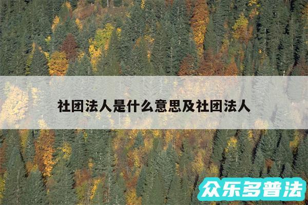 社团法人是什么意思及社团法人