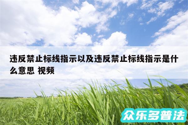 违反禁止标线指示以及违反禁止标线指示是什么意思 视频