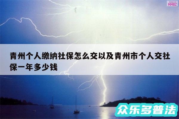 青州个人缴纳社保怎么交以及青州市个人交社保一年多少钱