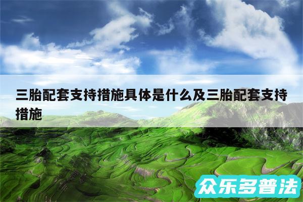 三胎配套支持措施具体是什么及三胎配套支持措施