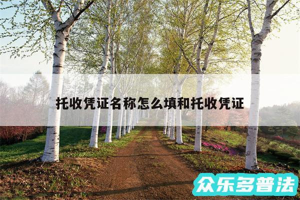 托收凭证名称怎么填和托收凭证