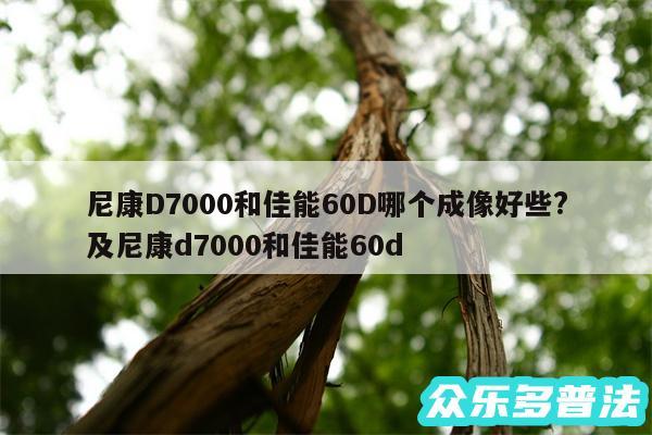 尼康D7000和佳能60D哪个成像好些?及尼康d7000和佳能60d