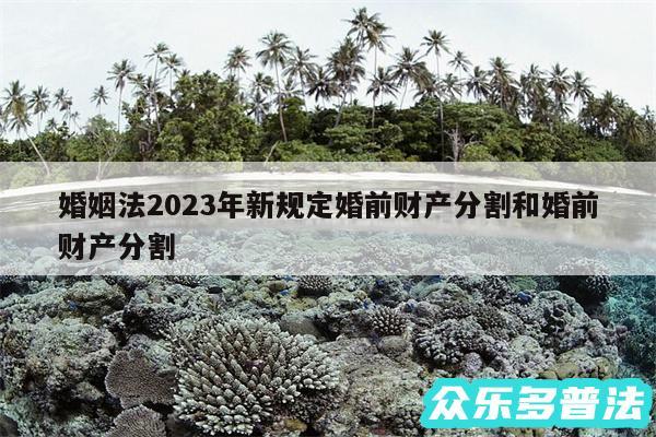 婚姻法2024年新规定婚前财产分割和婚前财产分割