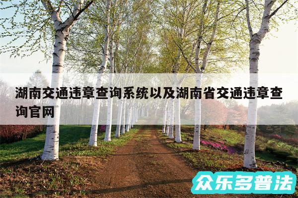 湖南交通违章查询系统以及湖南省交通违章查询官网