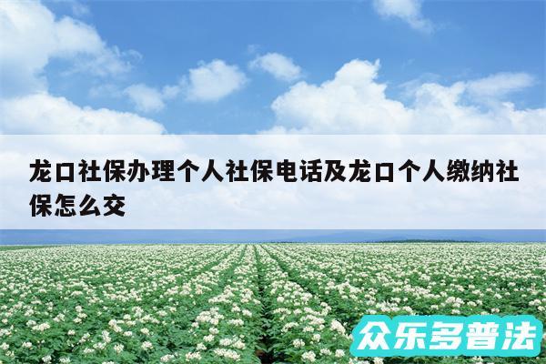 龙口社保办理个人社保电话及龙口个人缴纳社保怎么交