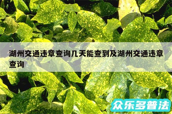 湖州交通违章查询几天能查到及湖州交通违章查询